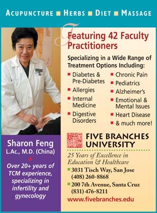 Five Branches University