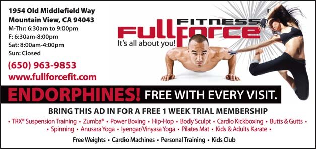 Full Force Fitness