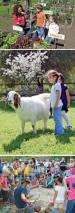Save the Farm
