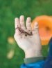 Worm Composting Is a Hit With Kids